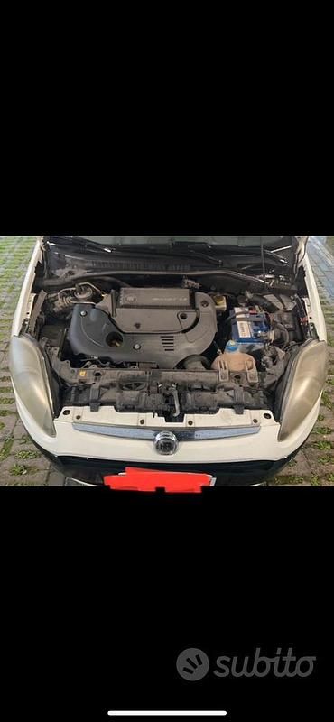 Usata Fiat Punto Evo 75 CV (55 kW) 2011 Utilitaria