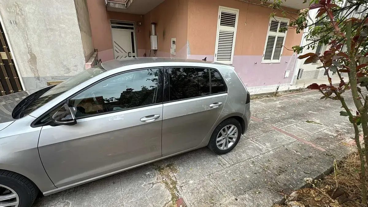 Usata VW Golf VII Executive 150 CV (110 kW) 2019 Berlina