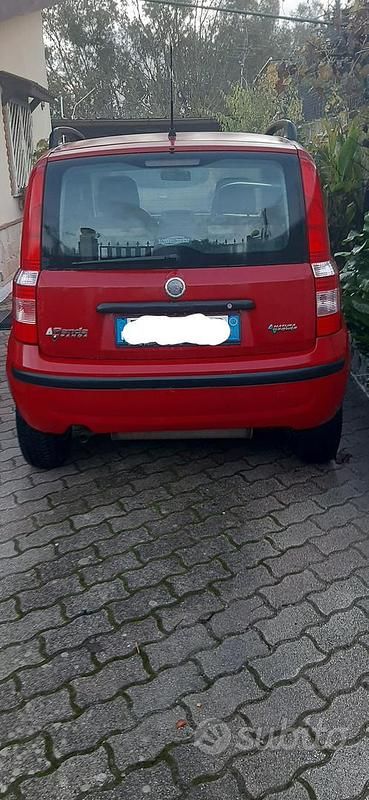 Usata Fiat Panda 77 CV (56 kW) 2006 Rosso Berlina