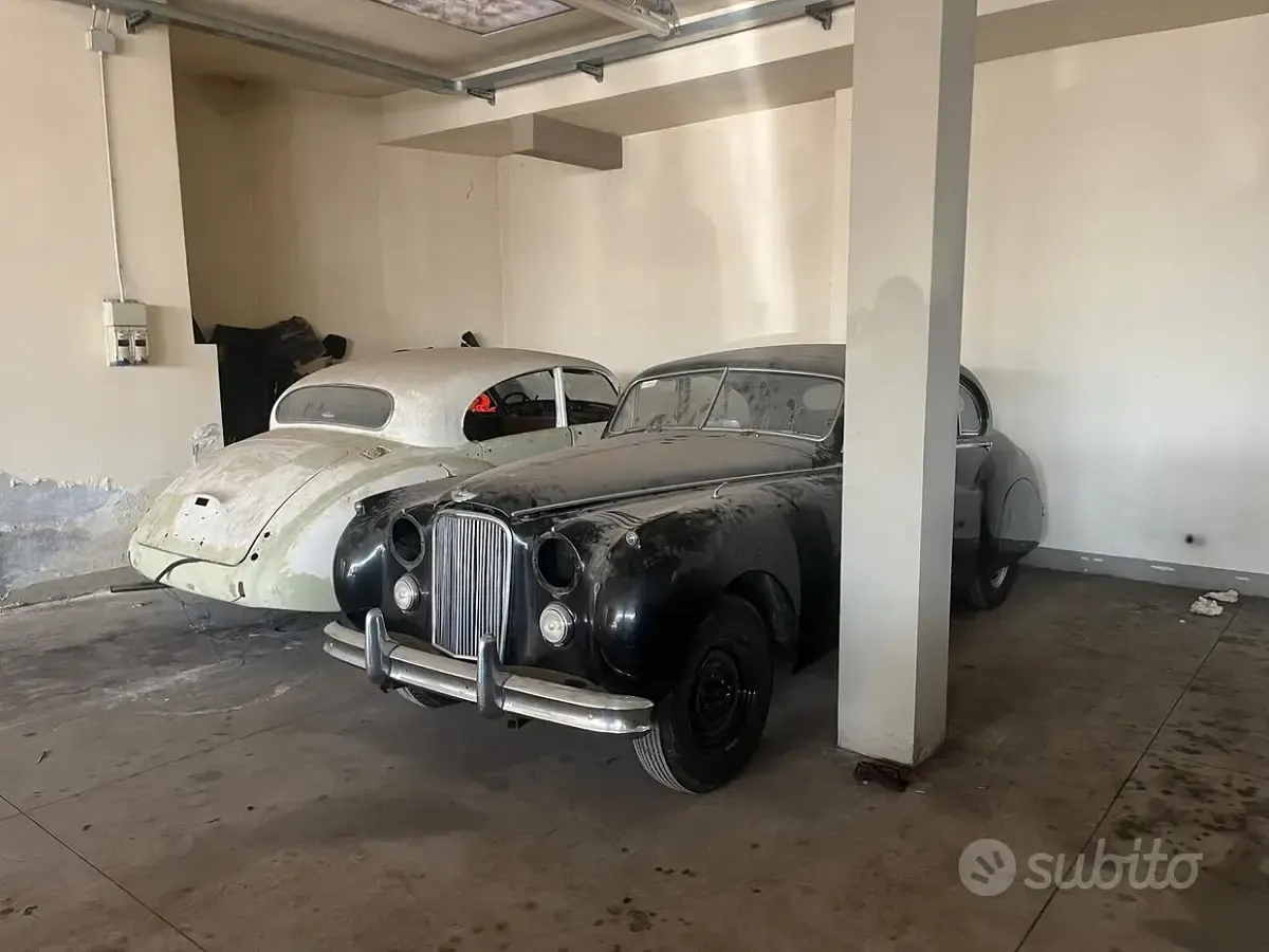 Usata Jaguar MK VII 1950 Bianco Berlina