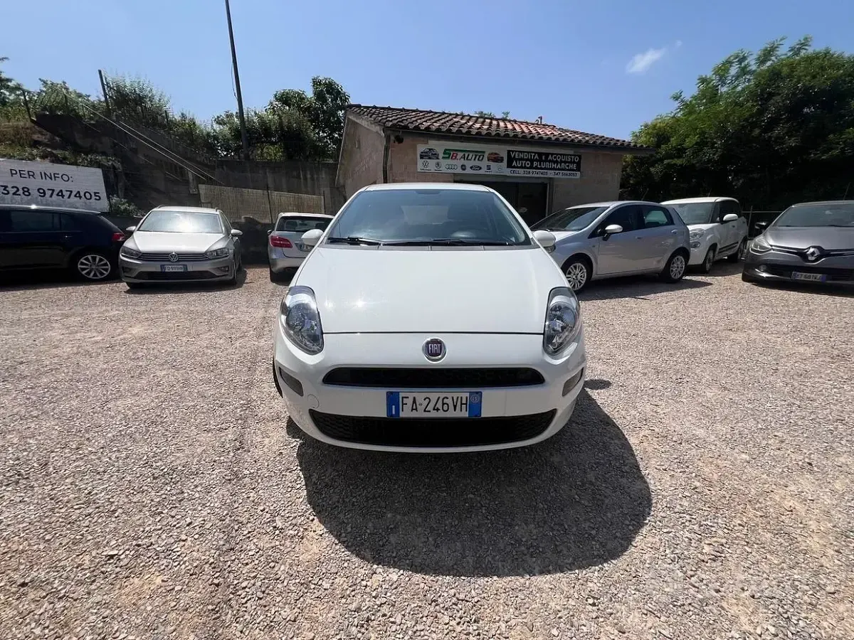 Usata Fiat Punto Lounge 75 CV (55 kW) 2015 Bianco Utilitaria