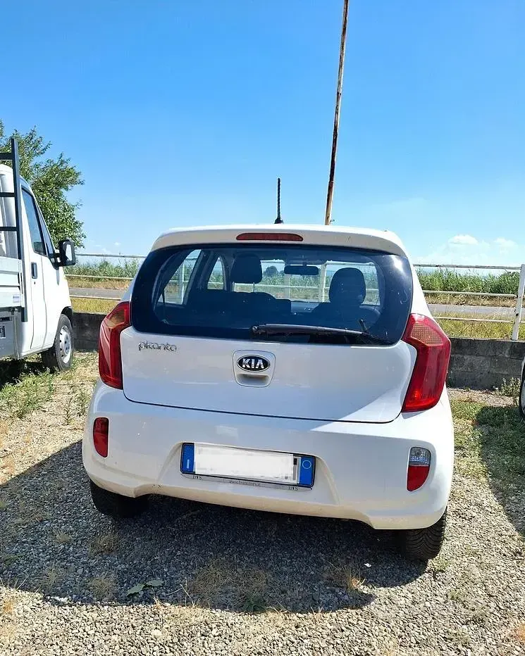 Usata Kia Picanto 85 CV (62 kW) 2012 Bianco Utilitaria