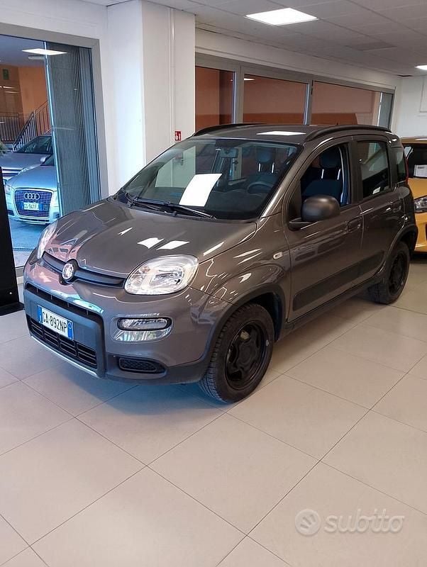 Usata Fiat Panda 4x4 S 84 CV (61 kW) 2020 Grigio Utilitaria