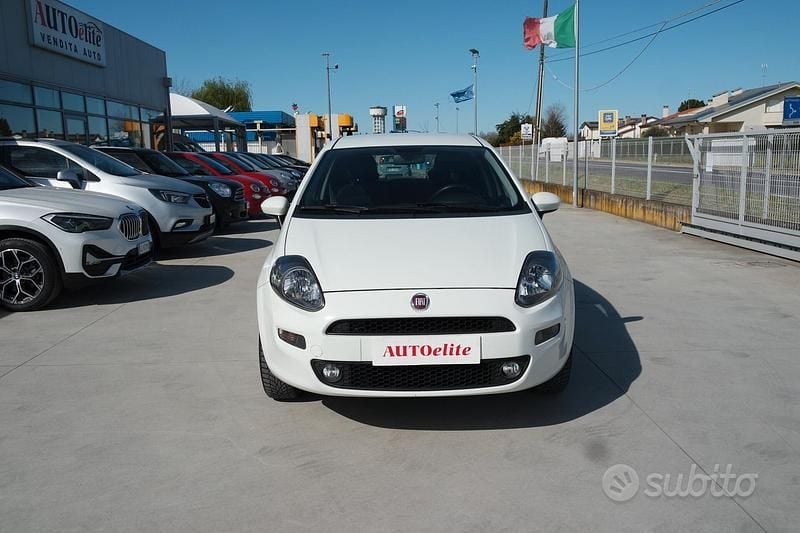 Usata Fiat Punto Lounge 78 CV (57 kW) 2014 Bianco Utilitaria