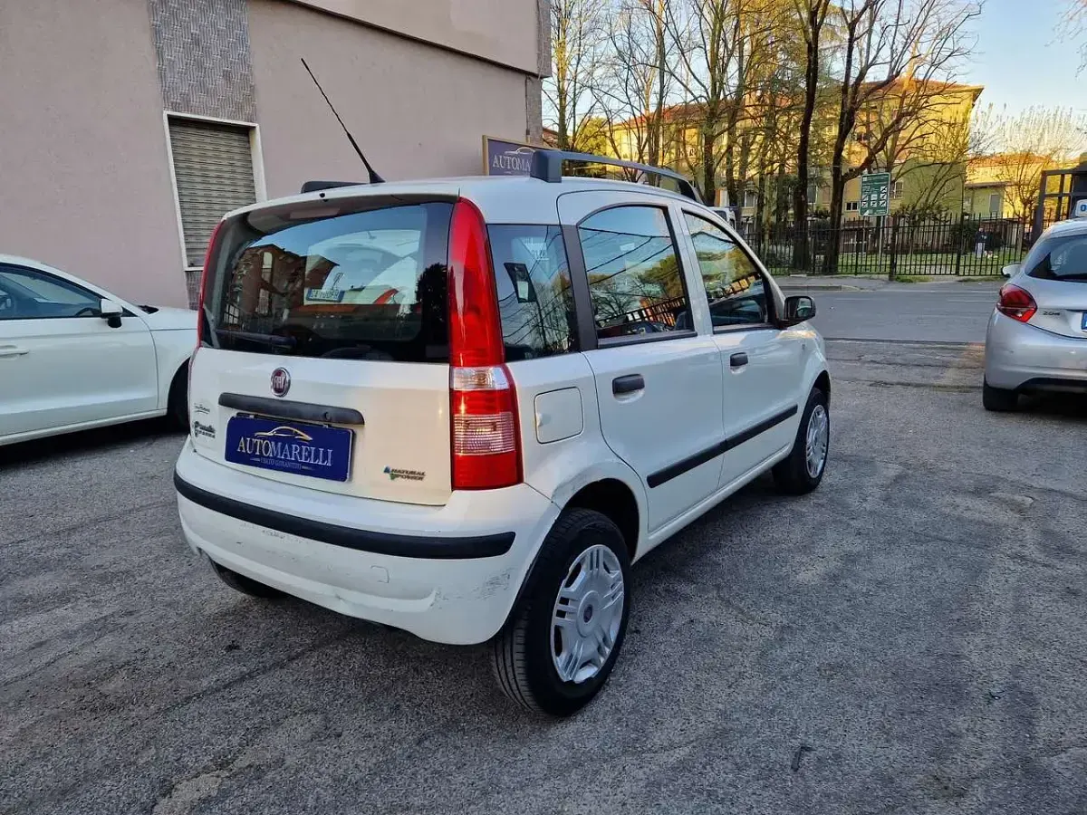 Usata Fiat Panda Dynamic 60 CV (44 kW) 2008 Bianco Utilitaria