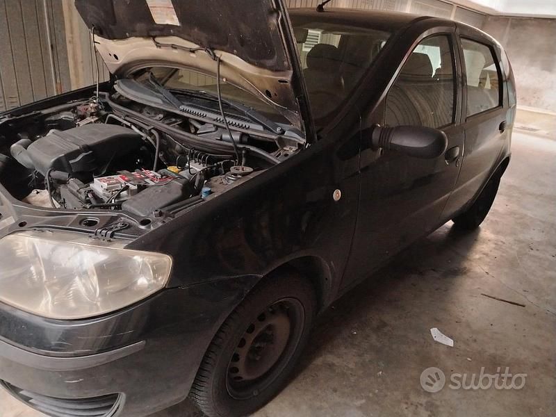 Usata Fiat Punto 77 CV (56 kW) 2009 Utilitaria