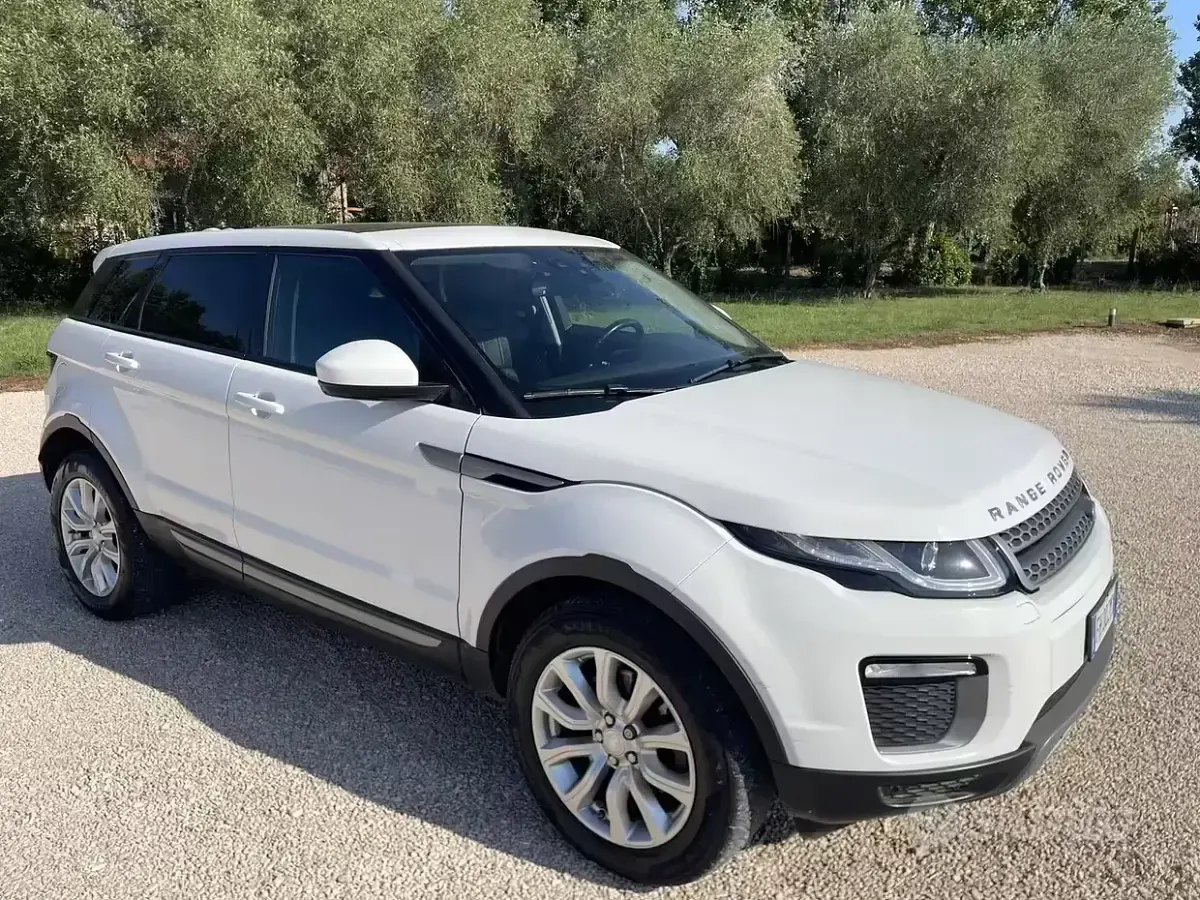 Usata Land Rover Range Rover evoque 150 CV (110 kW) 2017 Bianco SUV