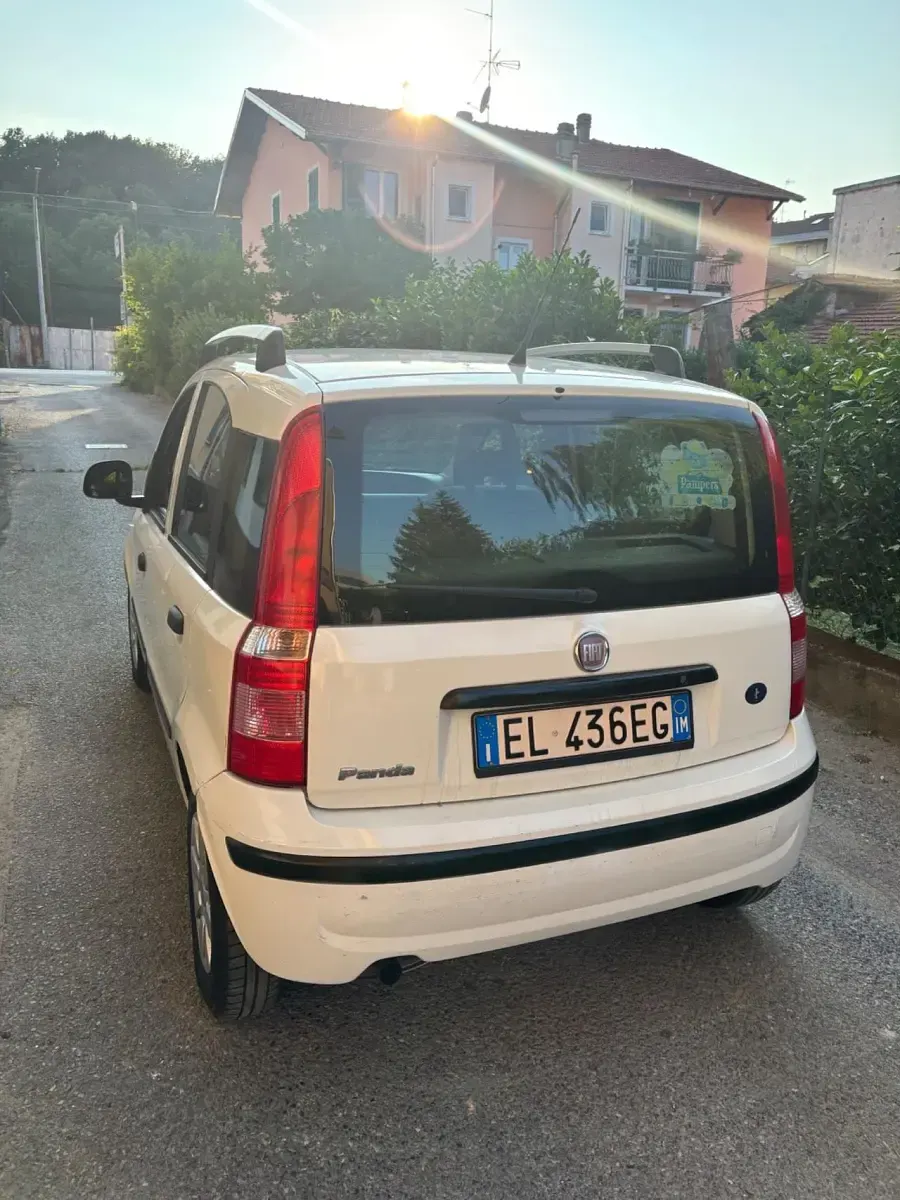 Usata Fiat Panda Dynamic 75 CV (55 kW) 2011 Bianco Utilitaria