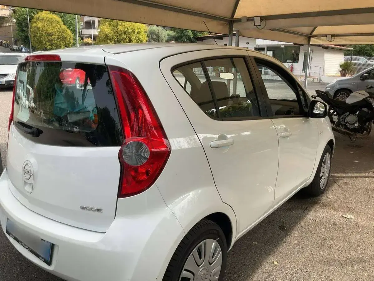 Usata Opel Agila 68 CV (50 kW) 2013 Other Utilitaria