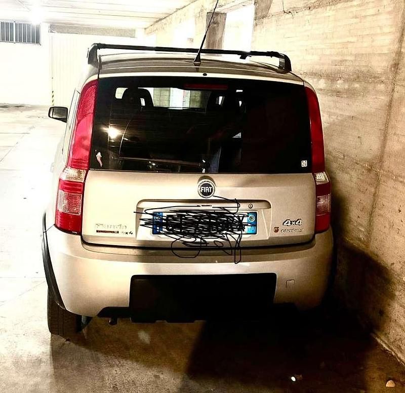 Usata Fiat Panda 4x4 Climbing 60 CV (44 kW) 2005 Argento Utilitaria