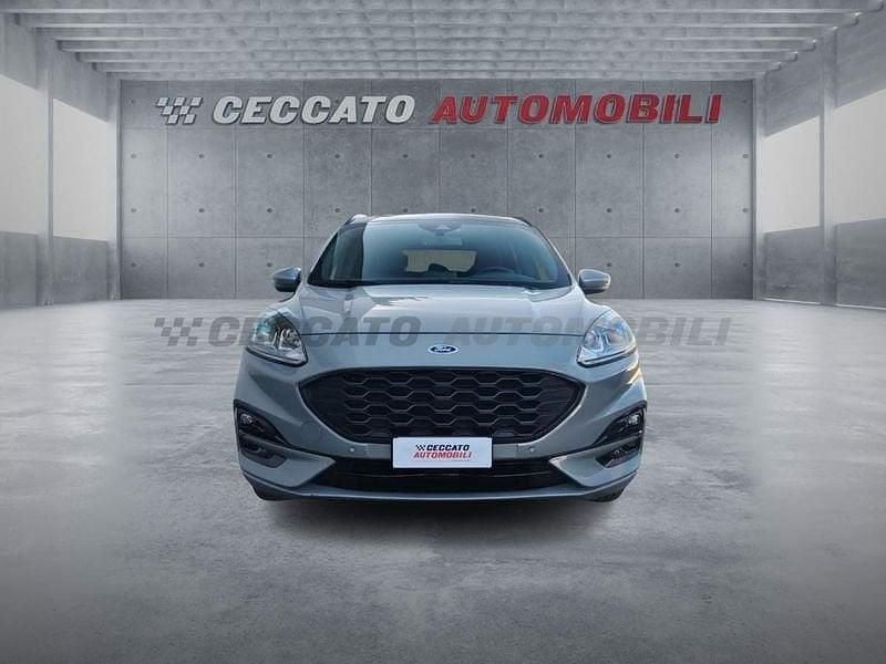 Usata Ford Kuga ST-Line 224 CV (164 kW) 2023 Argento SUV
