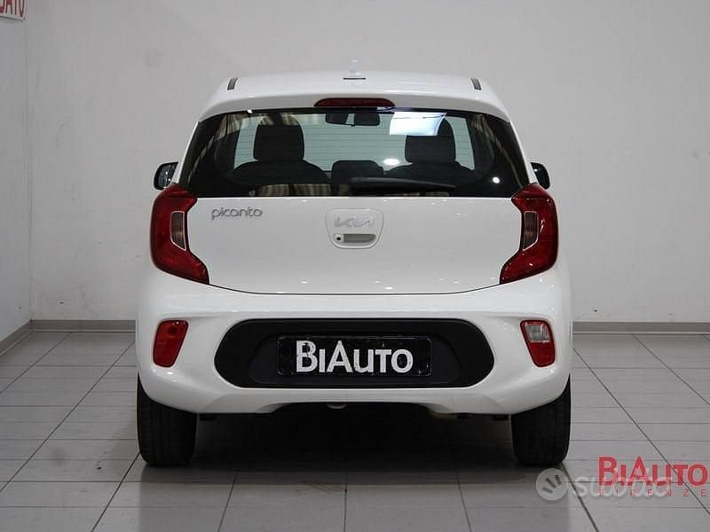 Usata Kia Picanto Urban 66 CV (48 kW) 2023 Bianco Utilitaria