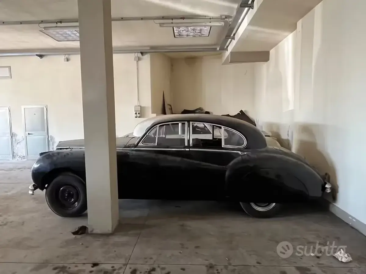 Usata Jaguar MK VII 1950 Bianco Berlina