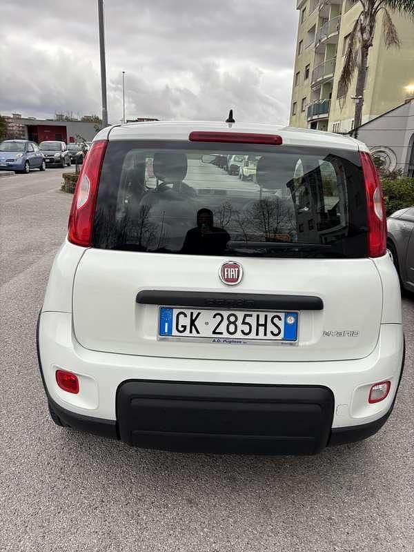 Usata Fiat Panda S 69 CV (50 kW) 2022 Utilitaria