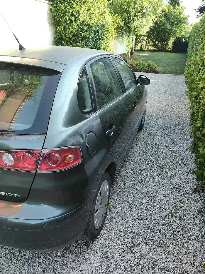 Usata Seat Ibiza 75 CV (55 kW) 2003 Verde Utilitaria