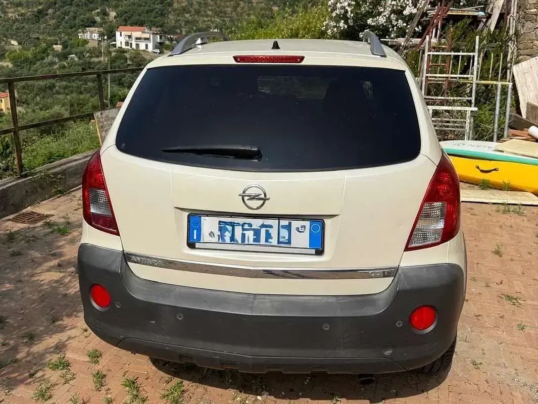 Usata Opel Antara Cosmo 163 CV (119 kW) 2013 Bianco SUV