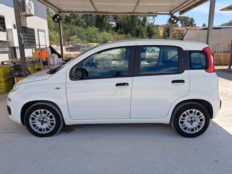 Usata Fiat Panda Easy 69 CV (50 kW) 2020 Bianco Utilitaria