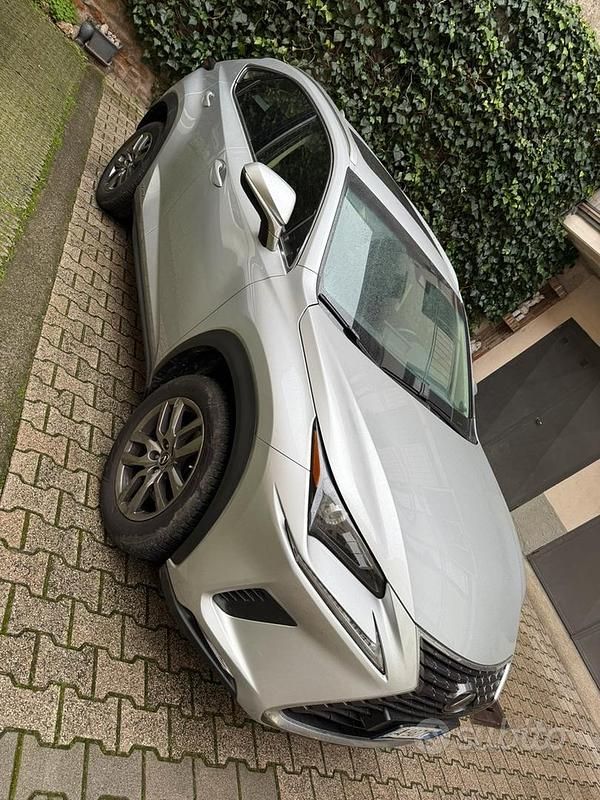 Usata Lexus NX300 2020 Grigio SUV
