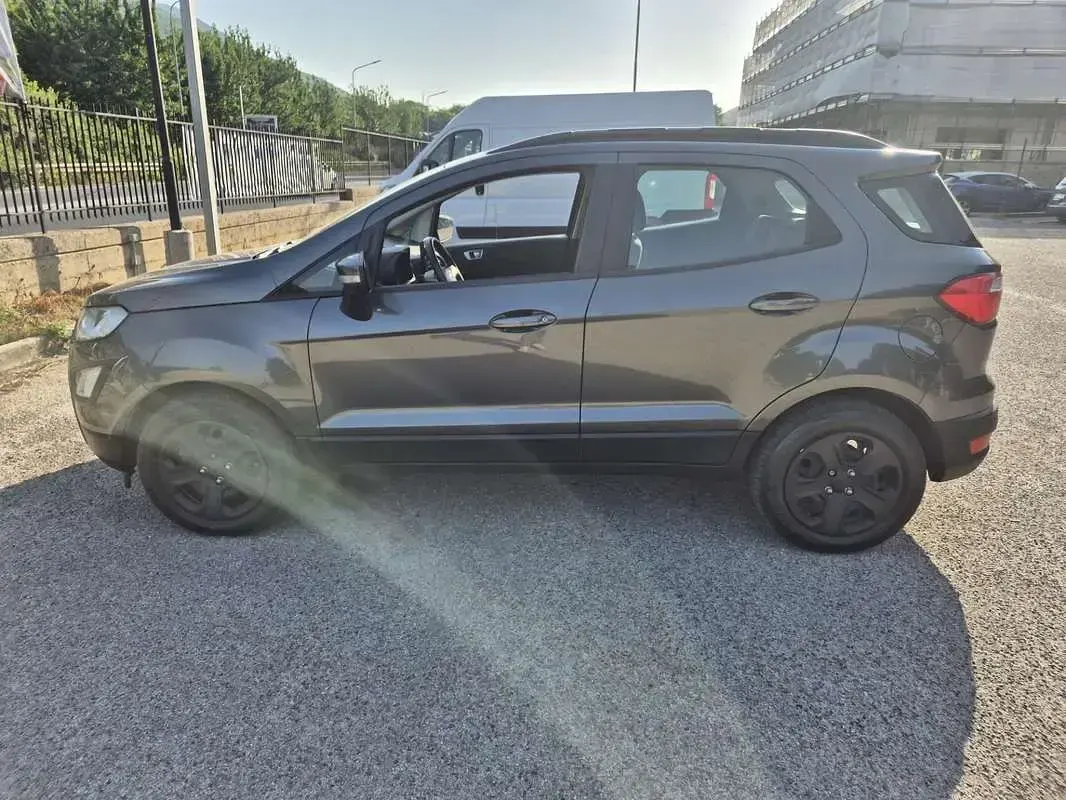 Usata Ford Ecosport Business Edition 99 CV (72 kW) 2020 SUV