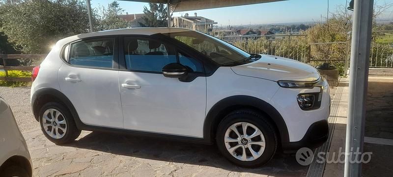 Usata Citroën C3 Shine 102 CV (75 kW) 2022 Bianco Utilitaria