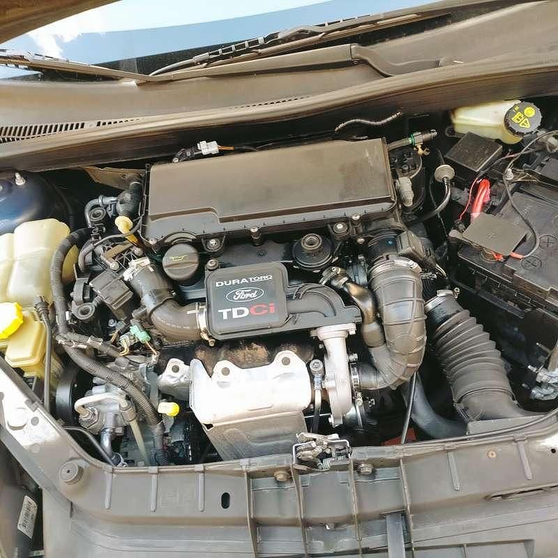 Usata Ford Fiesta Titanium 68 CV (50 kW) 2007 Utilitaria