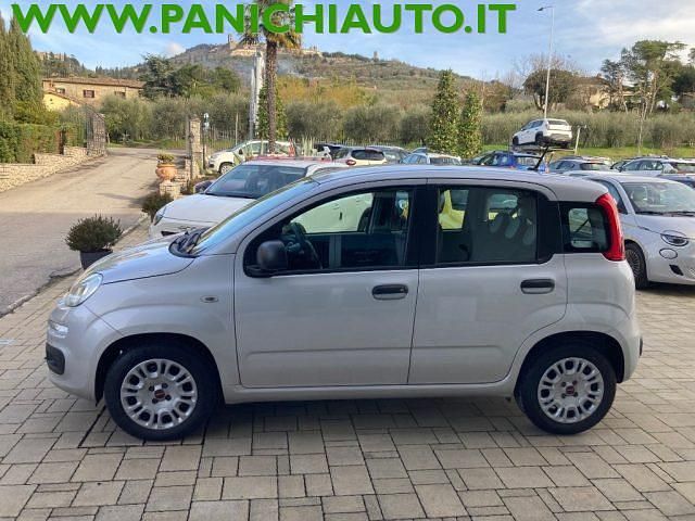 Usata Fiat Panda Easy 69 CV (50 kW) 2020 Grigio Utilitaria
