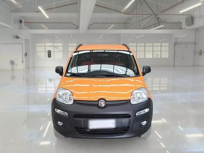 Usata Fiat Panda 4x4 Pop 80 CV (58 kW) 2017 Utilitaria