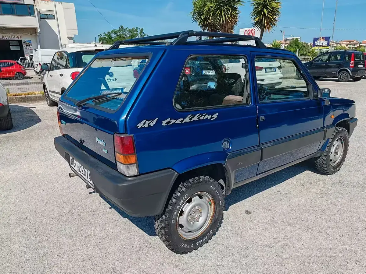 Usata Fiat Panda 4x4 Trekking 50 CV (36 kW) 1992 Bluazzurro Utilitaria