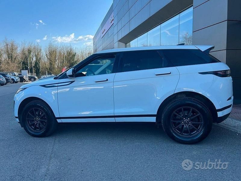 Usata Land Rover Range Rover evoque 149 CV (109 kW) 2020 Bianco SUV