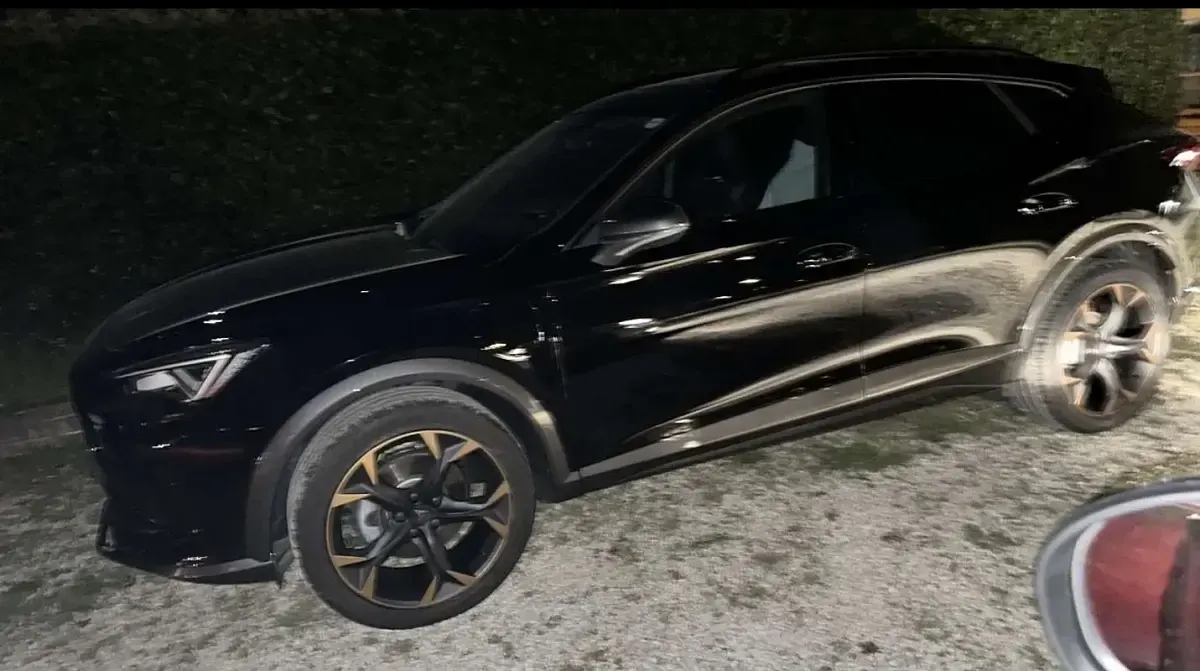 Usata Cupra Formentor 150 CV (110 kW) 2021 SUV