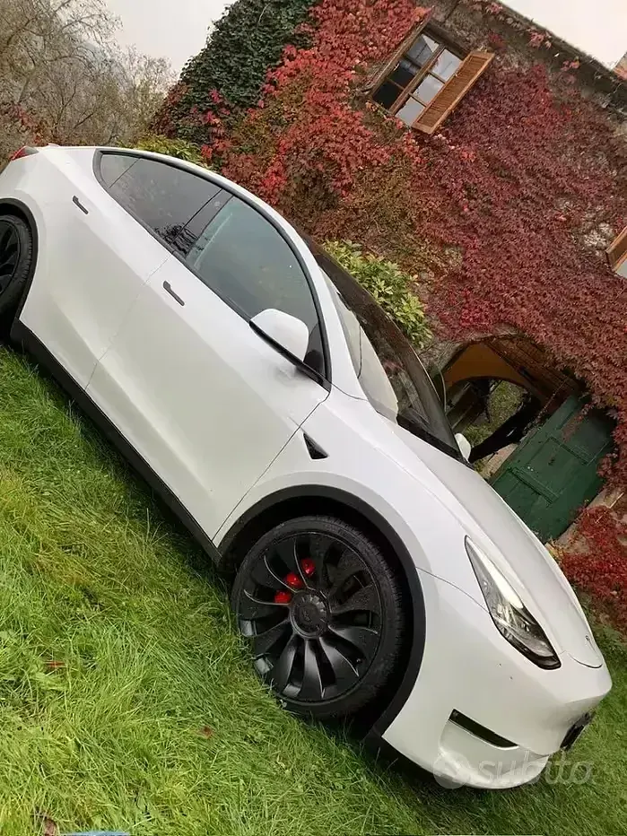 Usata Tesla Model Y Performance 185 kW (252 CV) 2023 Bianco SUV
