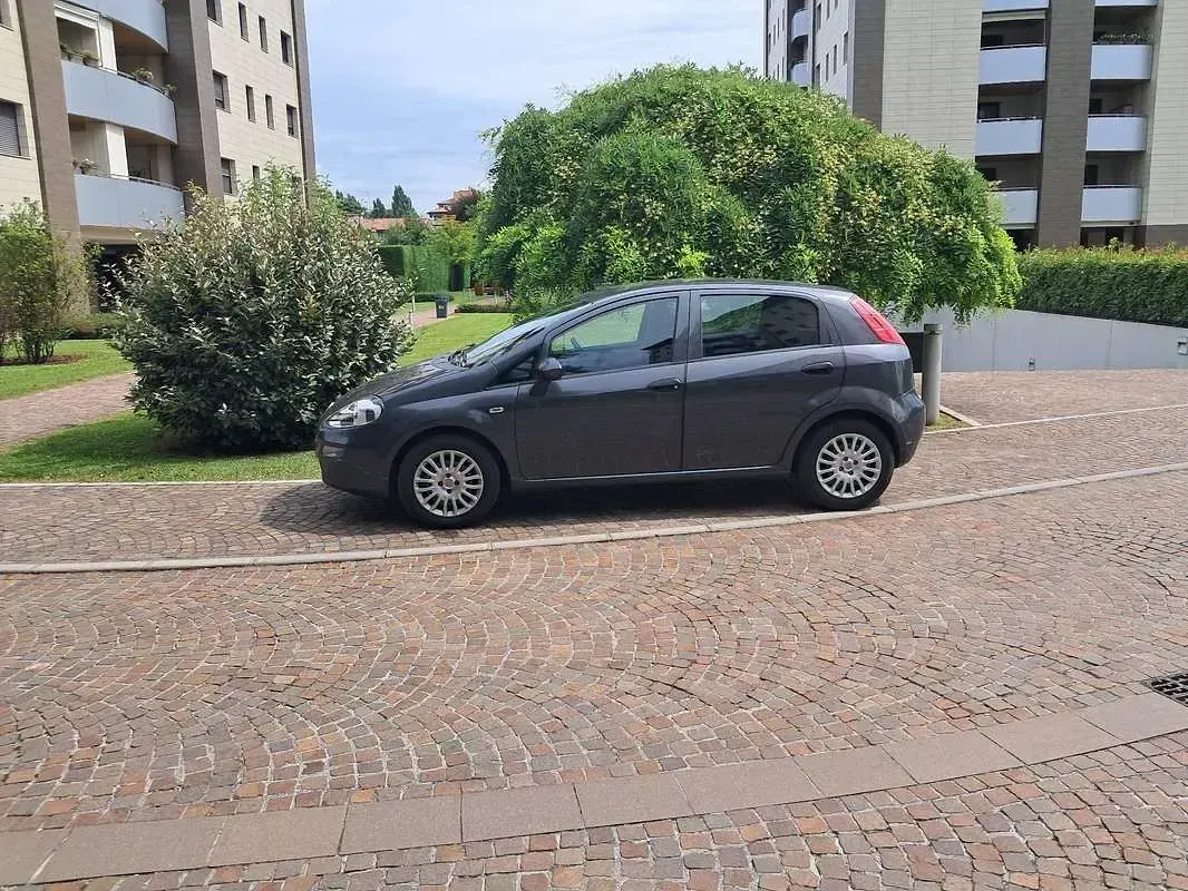 Usata Fiat Punto Evo 69 CV (50 kW) 2016 Utilitaria