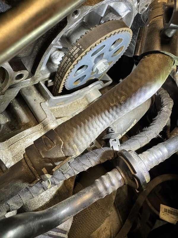 Usata Seat Leon Business 131 CV (96 kW) 2019 Berlina