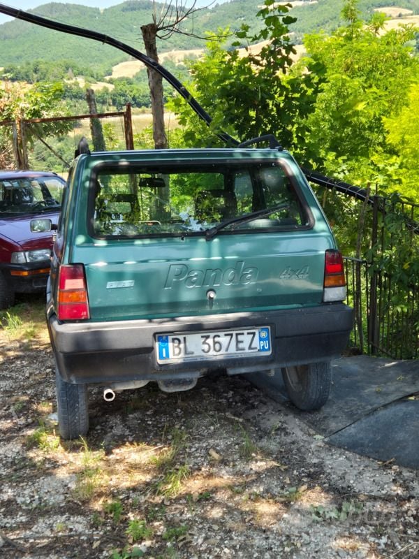 Usata Fiat Panda 4x4 45 CV (33 kW) 2000 Verde Utilitaria