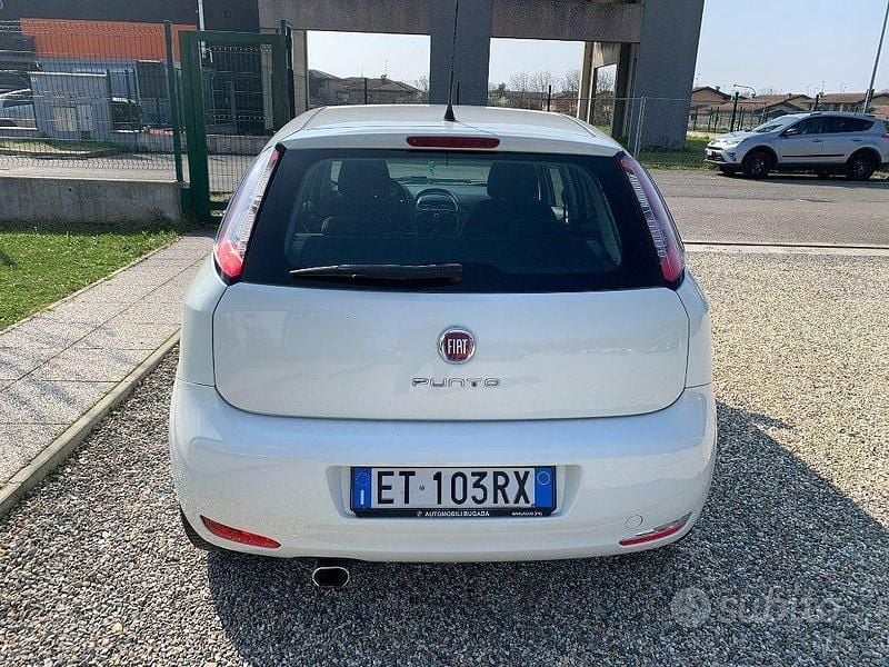 Usata Fiat Punto Lounge 75 CV (55 kW) 2013 Bianco Utilitaria