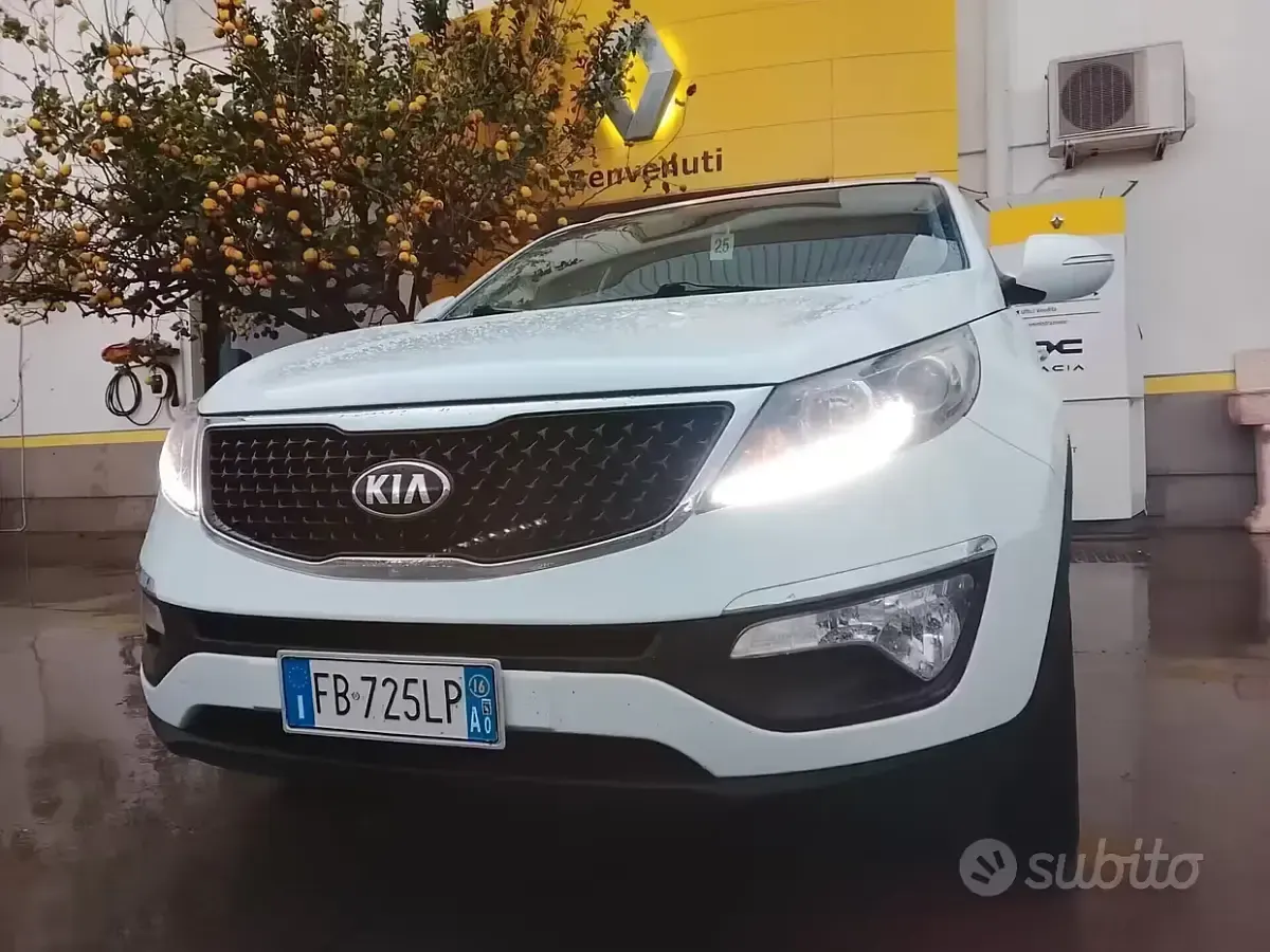 Occasion Kia Sportage Active 116 PK (85 kW) 2016 Wit SUV