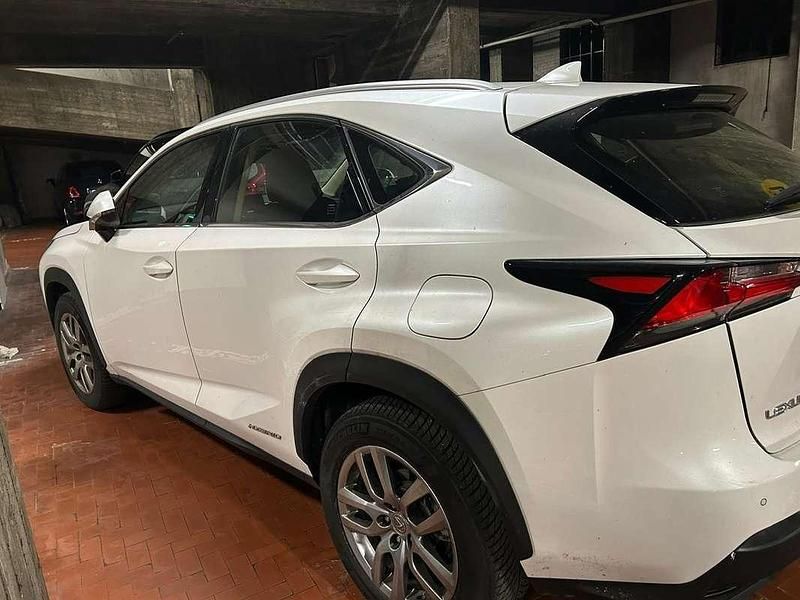 Usata Lexus NX300h Executive Line 155 CV (114 kW) 2017 Bianco SUV