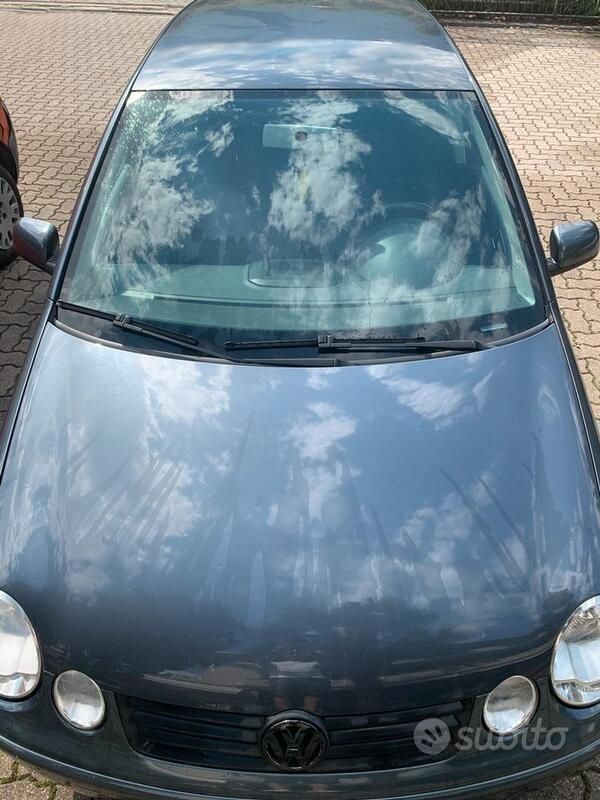 Usata VW Polo 2002 Grigio Utilitaria