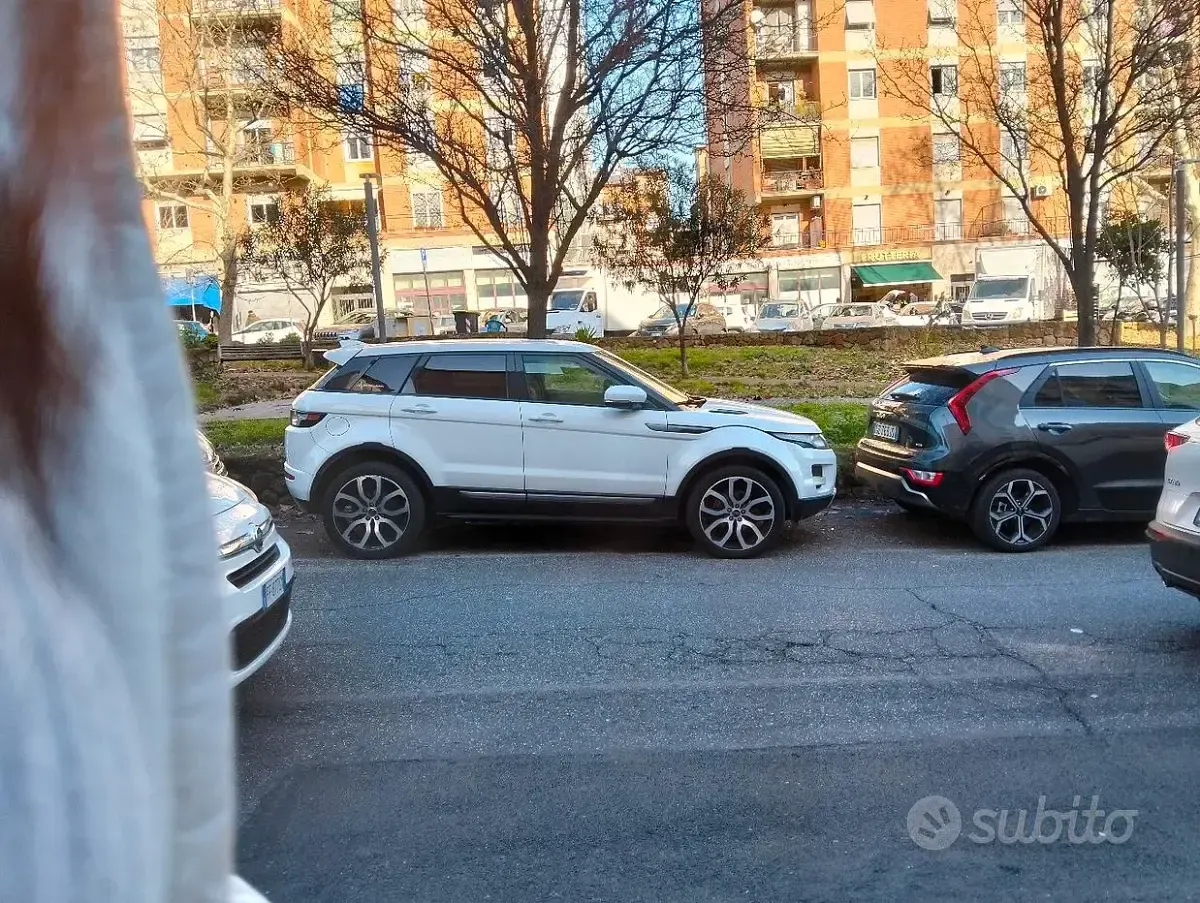 Usata Land Rover Range Rover evoque 150 CV (110 kW) 2012 Bianco SUV