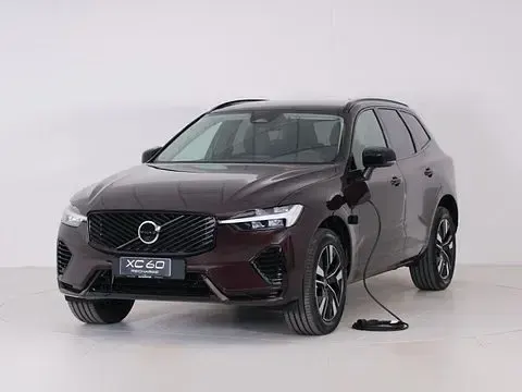 Nuova Volvo XC60 Plus 349 CV (256 kW) 2026 Rosso SUV