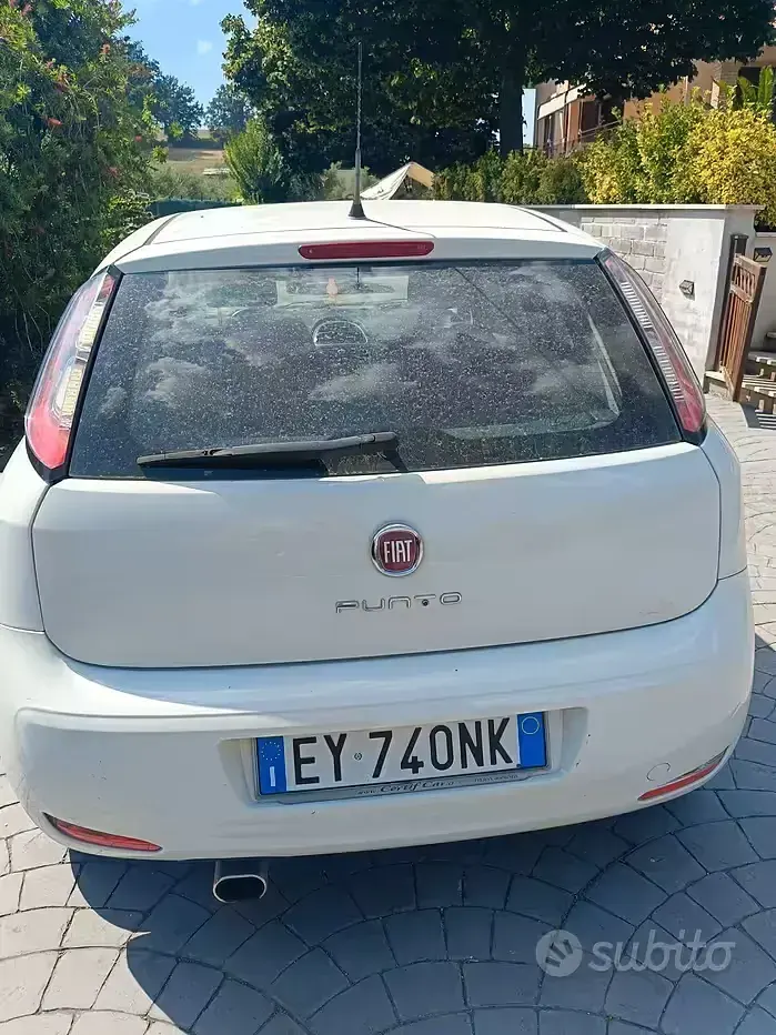 Usata Fiat Punto 75 CV (55 kW) 2015 Bianco Utilitaria