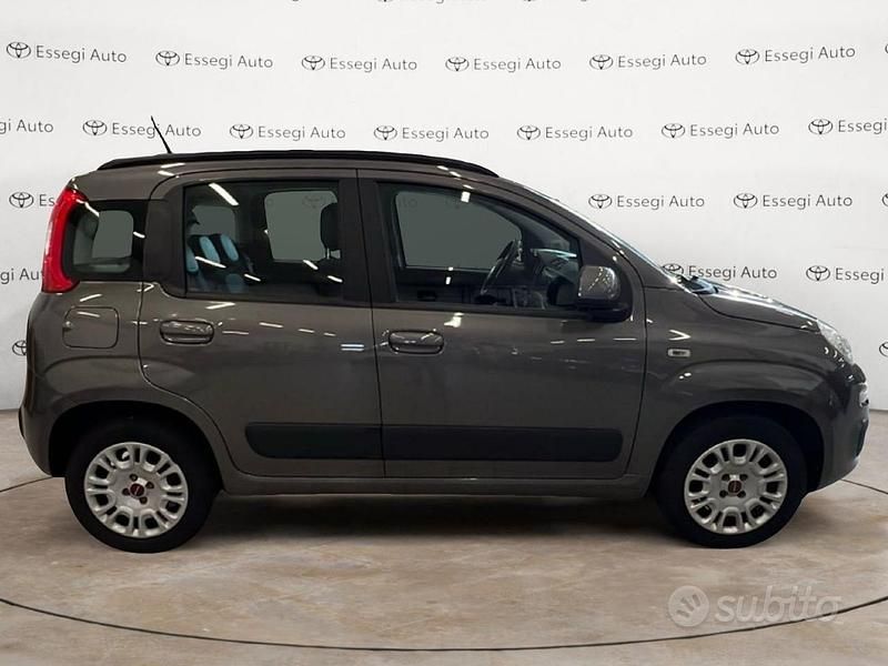 Usata Fiat Panda Lounge 69 CV (50 kW) 2020 Grigio Utilitaria