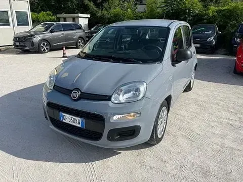 Usata Fiat Panda Easy 69 CV (50 kW) 2021 Utilitaria