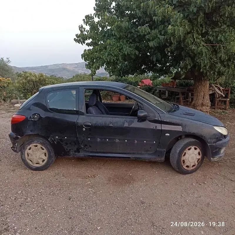 Usata Peugeot 206 69 CV (50 kW) 2003 Berlina
