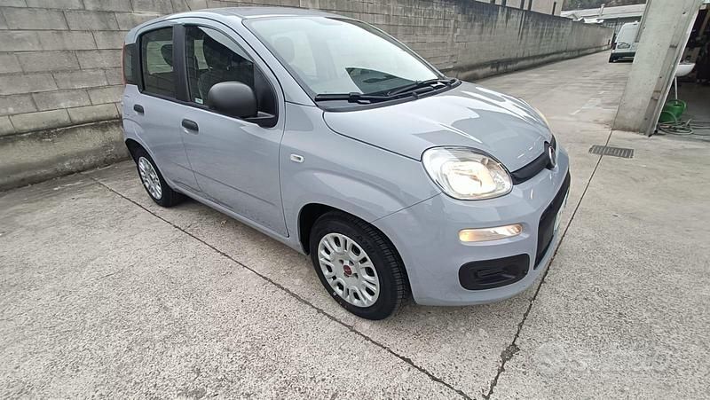 Usata Fiat Panda Lounge 69 CV (50 kW) 2017 Utilitaria