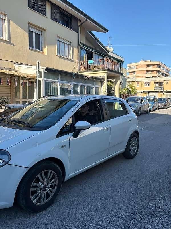 Usata Fiat Punto Evo Active 77 CV (56 kW) 2012 Utilitaria