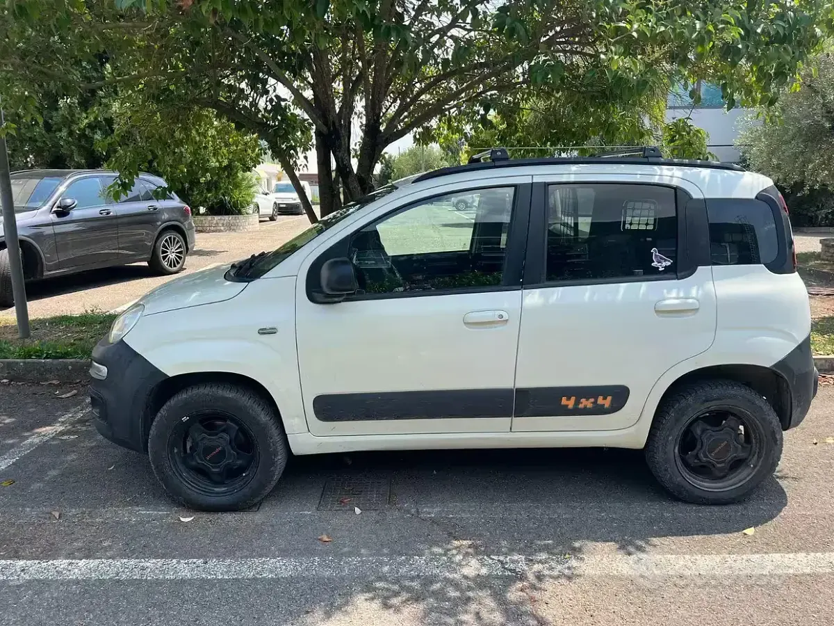 Usata Fiat Panda 4x4 80 CV (58 kW) 2016 Bianco Utilitaria