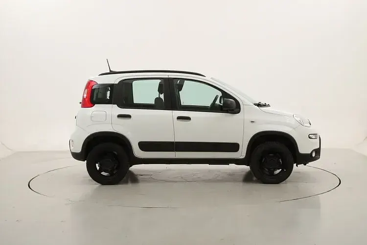 Usata Fiat Panda 4x4 Wild 85 CV (62 kW) 2022 Utilitaria