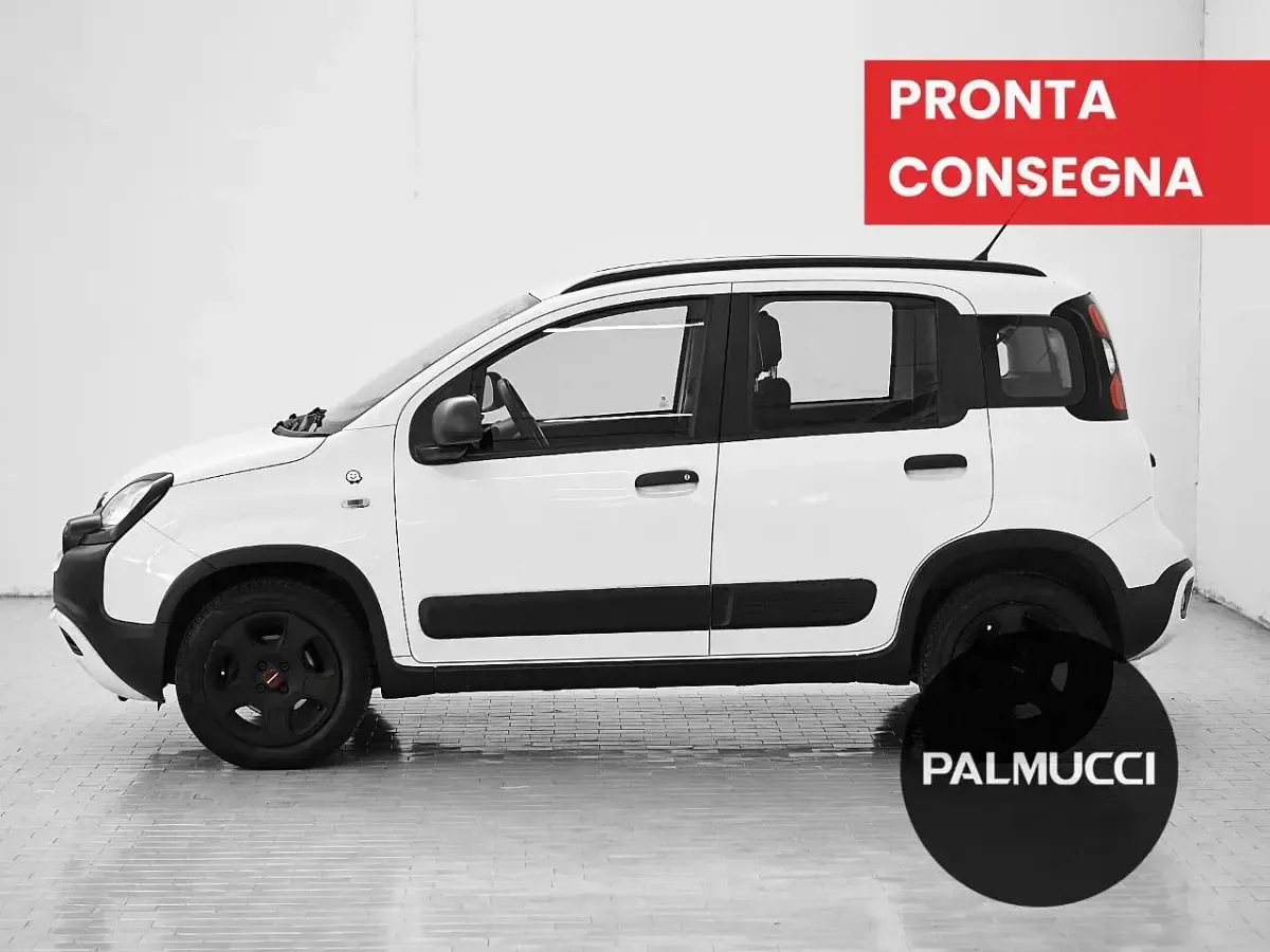 Usata Fiat Panda Cross Cross 69 CV (50 kW) 2018 Bianco Utilitaria