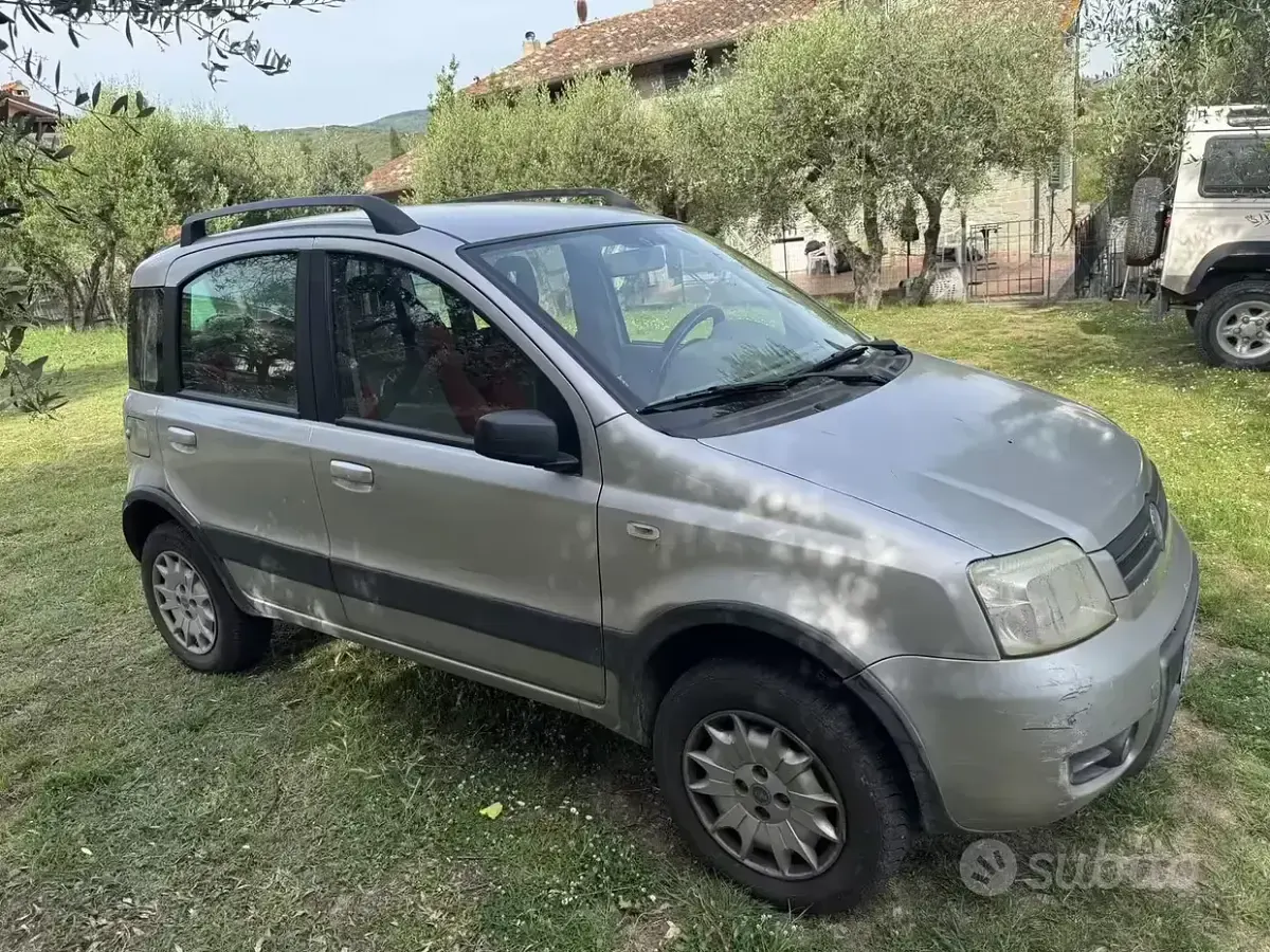 Usata Fiat Panda 4x4 60 CV (44 kW) 2006 Grigio Utilitaria